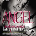 Cover Art for 9781611135473, Angel by James Patterson