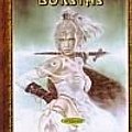 Cover Art for 9789986971658, Kregždės bokštas by Andrzej Sapkowski