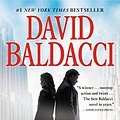 Cover Art for 9781455521289, The Hit by David Baldacci