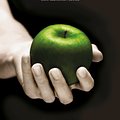 Cover Art for 9780349002934, Twilight Tenth Anniversary/Life and Death Dual Edition by Stephenie Meyer