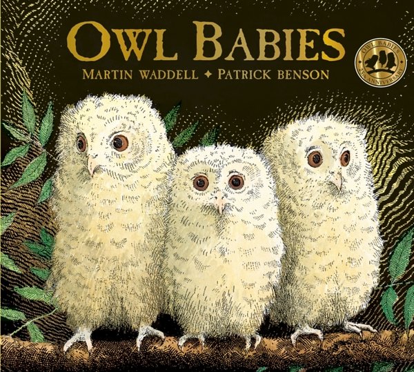 Cover Art for 9781406374377, Owl Babies 25th Anniversary edition board book by Martin Waddell