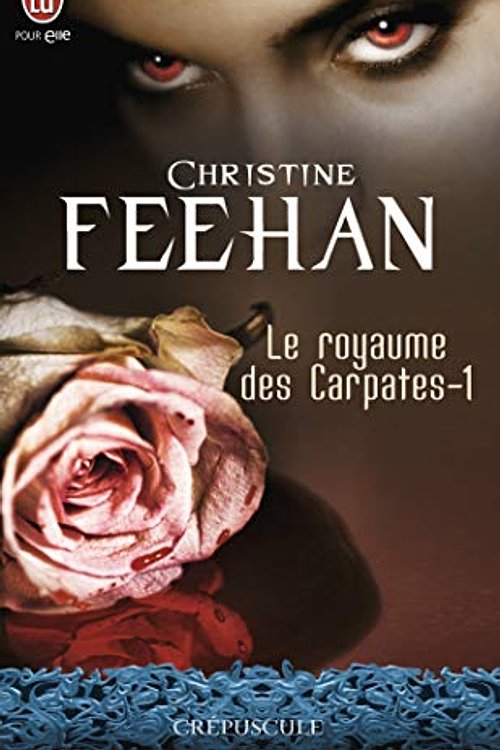 Cover Art for 9782290025499, Le prince de l'ombre by Christine Feehan