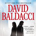 Cover Art for 9781455529476, The Hit by David Baldacci