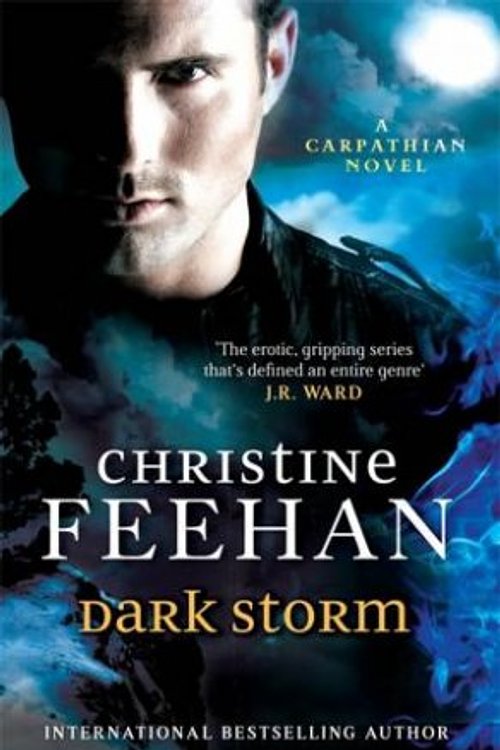Cover Art for 9780749957537, Dark Storm by Christine Feehan