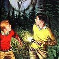 Cover Art for 9780006922360, The Clue of the Screeching Owl (Hardy Boys Mystery Stories) by Franklin W. Dixon