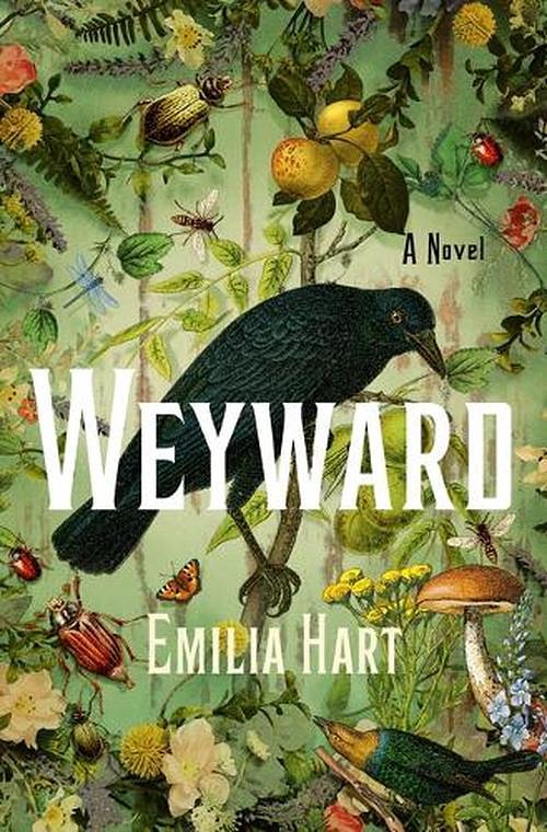 Cover Art for 9798885786997, Weyward by Emilia Hart