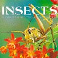 Cover Art for 9781577170259, Insects: A Portrait of the Animal World (Portraits of the Animal World) by Paul Sterry