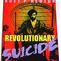 Cover Art for 9780863163265, Revolutionary Suicide by Huey P. Newton