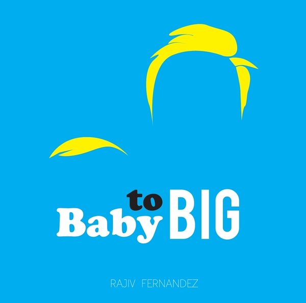 Cover Art for 9781576878262, Baby To Big by Rajiv Fernandez