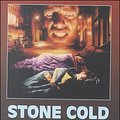 Cover Art for 9780745173993, Stone Cold by Robert Swindells