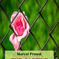 Cover Art for 9781533162656, The Captive by Marcel Proust