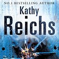 Cover Art for 9780434014644, Bones to Ashes by Kathy Reichs