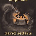 Cover Art for 9780316038393, Squirrel Seeks Chipmunk by David Sedaris