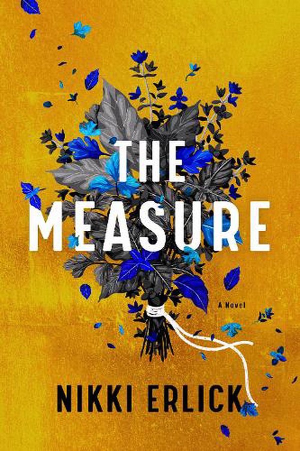 Cover Art for 9780063204201, The Measure: A Novel by Nikki Erlick