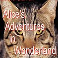 Cover Art for 9781412157018, Alice's Adventures In Wonderland by Lewis Carroll