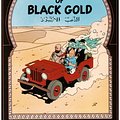 Cover Art for 9780828850483, Land of Black Gold by Herge