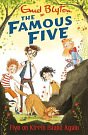 Cover Art for 9781444923001, Famous Five: Five On Kirrin Island Again: Book 6 by Enid Blyton