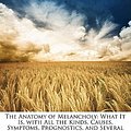 Cover Art for 9781142447106, The Anatomy of Melancholy by Robert Burton