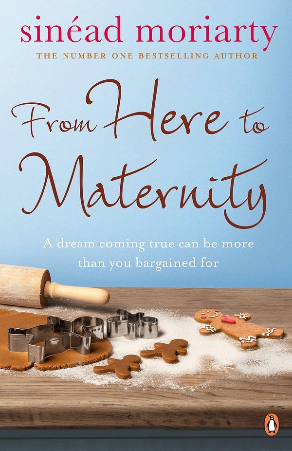 Cover Art for 9781844880683, From Here to Maternity by Sinéad Moriarty