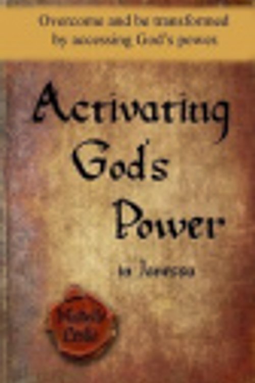 Cover Art for 9781635943344, Activating God's Power in Janessa: Overcome and be transformed by accessing God's power. by Michelle Leslie