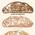 Cover Art for 9781787134652, Super Sourdough by James Morton