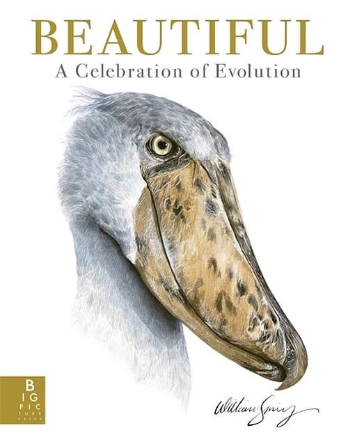 Cover Art for 9781800786165, Beautiful: A Celebration of Evolution by William Spring