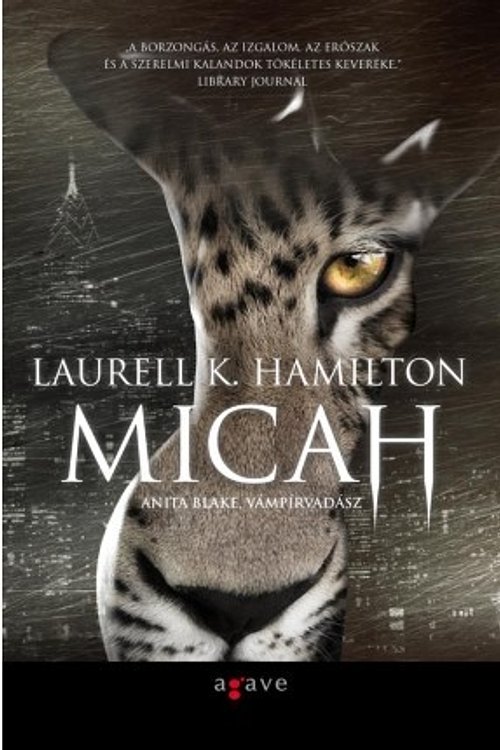 Cover Art for 9786155272035, Micah by Ehud Ben Zvi