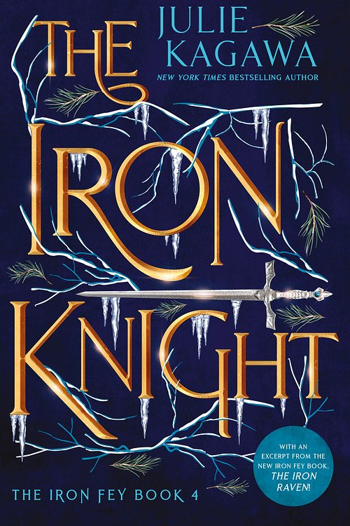 Cover Art for 9781867208303, The Iron Knight Special Edition by Julie Kagawa