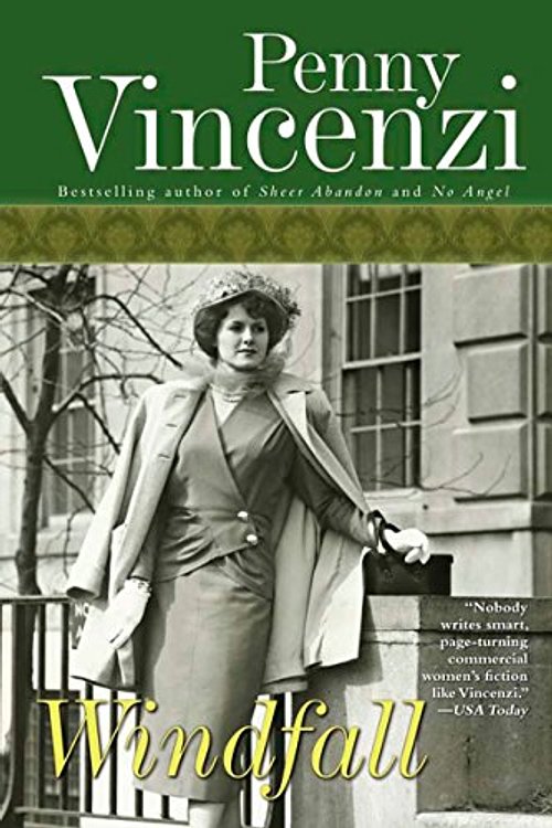 Cover Art for 9781590204061, Windfall by Penny Vincenzi