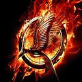 Cover Art for 9788415745167, Els Jocs de la Fam. En flames by Suzanne Collins