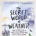 Cover Art for 9781615191482, The Secret World of Weather by Tristan Gooley