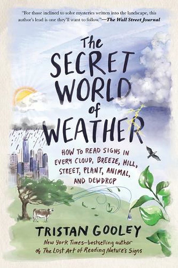 Cover Art for 9781615191482, The Secret World of Weather by Tristan Gooley