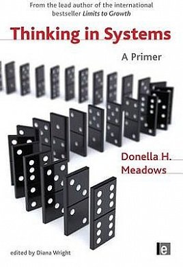Cover Art for 9781844077267, Thinking in Systems by Diana Wright, Donella H. Meadows