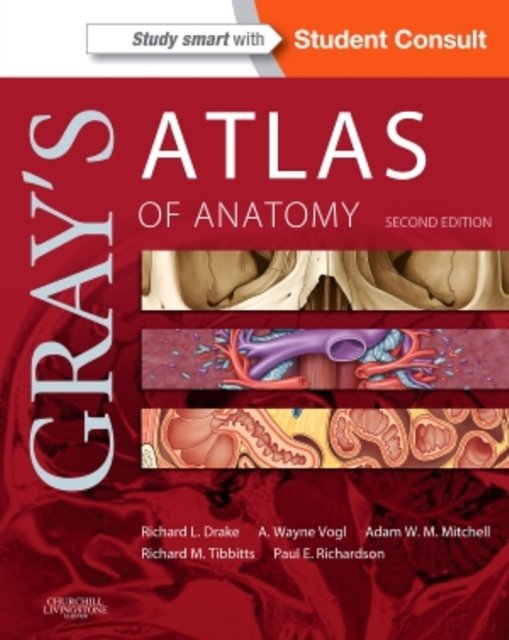 Cover Art for 9781455748020, Gray's Atlas of Anatomy by Drake PhD FAAA, Richard, Vogl PhD FAAA, A. Wayne, Mitchell MB FRCS FRCR, Adam W. M., BS, Richard Tibbitts, Paul Richardson