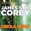 Cover Art for 9780316217606, Cibola Burn by James S. A. Corey