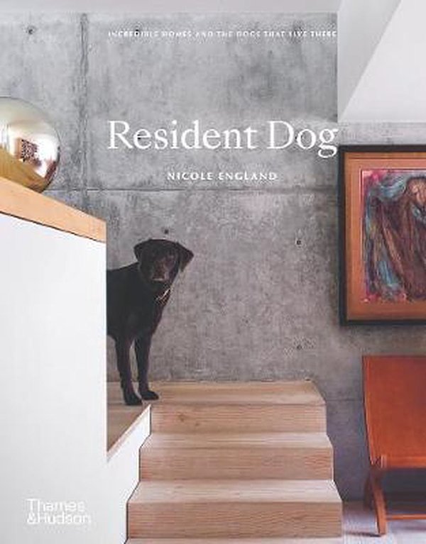 Cover Art for 9781760761318, Resident Dog: Incredible Homes and the Dogs That Live There by Nicole England