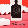 Cover Art for 9781604411379, The Domino Effect by Mark Joseph