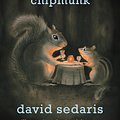 Cover Art for 9780316038409, Squirrel Seeks Chipmunk by David Sedaris