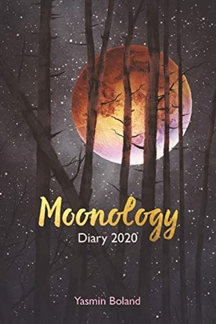 Cover Art for 9781788173377, Moonology Diary 2020 by Yasmin Boland