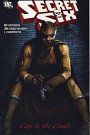 Secret Six: Cat's in the Cradle