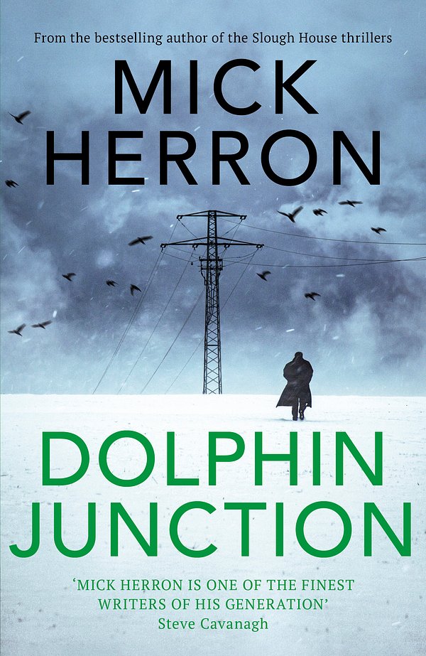 2 editions of DOLPHIN JUNCTION by MICK HERRON