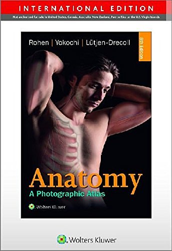 Cover Art for 9783794529827, Color Atlas of Anatomy - international edition: A Photographic Study of the Human Body by Johannes W. Rohen