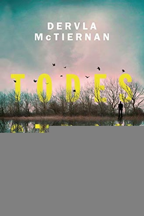 Cover Art for 9783453422612, Todesstrom: Kriminalroman by Dervla McTiernan