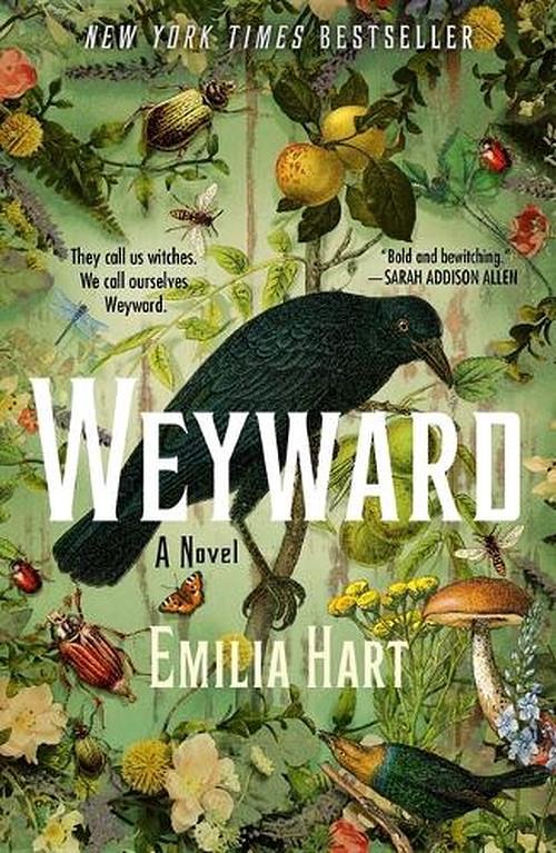 Cover Art for 9781250842725, Weyward by Emilia Hart