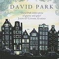 Cover Art for 9781444813043, The Light of Amsterdam by David Park