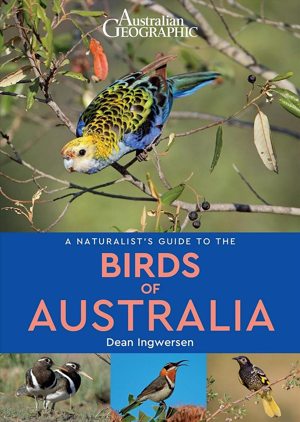 Cover Art for 9781912081615, Australian Geographic Naturalist's Guide to the Birds of Australia by Dean Ingwersen