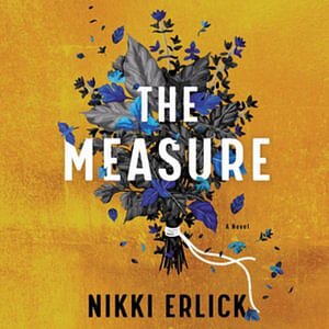 Cover Art for 9798200969364, The Measure Lib/E by Nikki Erlick, Julia Whelan