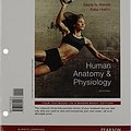 Cover Art for 9780321802187, Human Anatomy & Physiology by Elaine Nicpon Marieb, Katja Hoehn