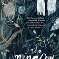 Cover Art for 9781925095012, The Minnow by Diana Sweeney