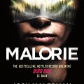 Cover Art for 9781409193142, Malorie by Josh Malerman